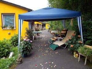 14 Tage Gesundheits-Präventions-Kur, Kurz-Urlaub - Gesundheits-Wochenende, Wald-Urlaub im Naturpark Saar-Hunsrück, Rheinland-Pfalz